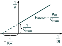 График уравнение Лайнуивера Берка